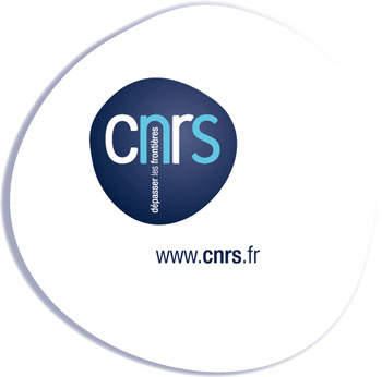 Logo CNRS